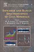 Infrared and Raman Spectroscopies of Clay Minerals