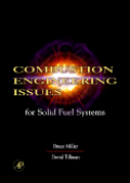 Combustion engineering issues for solid fuel systems