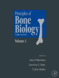 Principles of bone biology