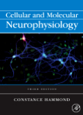 Cellular and molecular neurophysiology