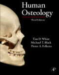 Human osteology