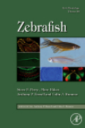 Zebrafish