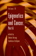 Epigenetics and cancer Vol. 70 pt. A