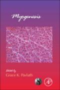 Myogenesis