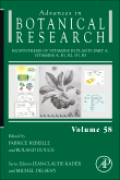 Biosynthesis of vitamins in plants