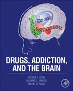 Drugs, Addiction, and the Brain