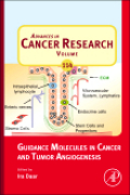 Intratumor diversity and clonal evolution in cancer