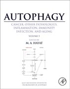 Autophagy: Cancer, Other Pathologies, Inflammation, Immunity, Infection, and Aging