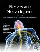 Nerves and Nerve Injuries: Vol 2: Pain, Treatment, Injury, Disease and Future Directions