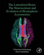 Hemispheric Asymmetries in the Brain