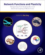 Network Functions and Plasticity: Perspectives from Studying Neuronal Electrical Coupling in Microcircuits