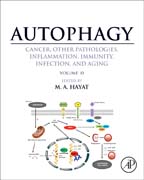 Autophagy: Cancer, Other Pathologies, Inflammation, Immunity, Infection, and Aging