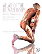 Atlas of the Human Body: Central Nervous System and Vascularization