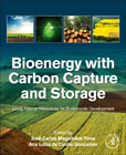 Bioenergy with Carbon Capture and Storage