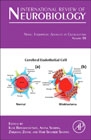 Novel Therapeutic Advances in Glioblastoma