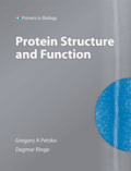 Protein structure and function