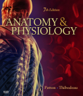 Anatomy and physiology