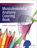 Musculoskeletal anatomy coloring book