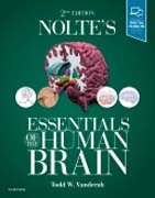 Noltes Essentials of the Human Brain