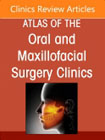 Reconstruction of the Mandible, An Issue of Atlas of the Oral & Maxillofacial Surgery Clinics