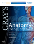 Gray's anatomy for students