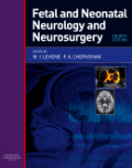 Fetal and neonatal neurology and neurosurgery