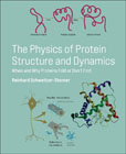 The Physics of Protein Structure and Dynamics: When and Why Proteins Fold or Dont Fold