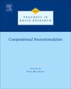 Computational Neurostimulation