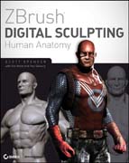 ZBrush digital sculpting human anatomy