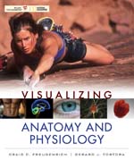 Visualizing anatomy and physiology