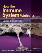 How the immune system works