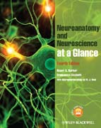 Neuroanatomy and neuroscience at a glance