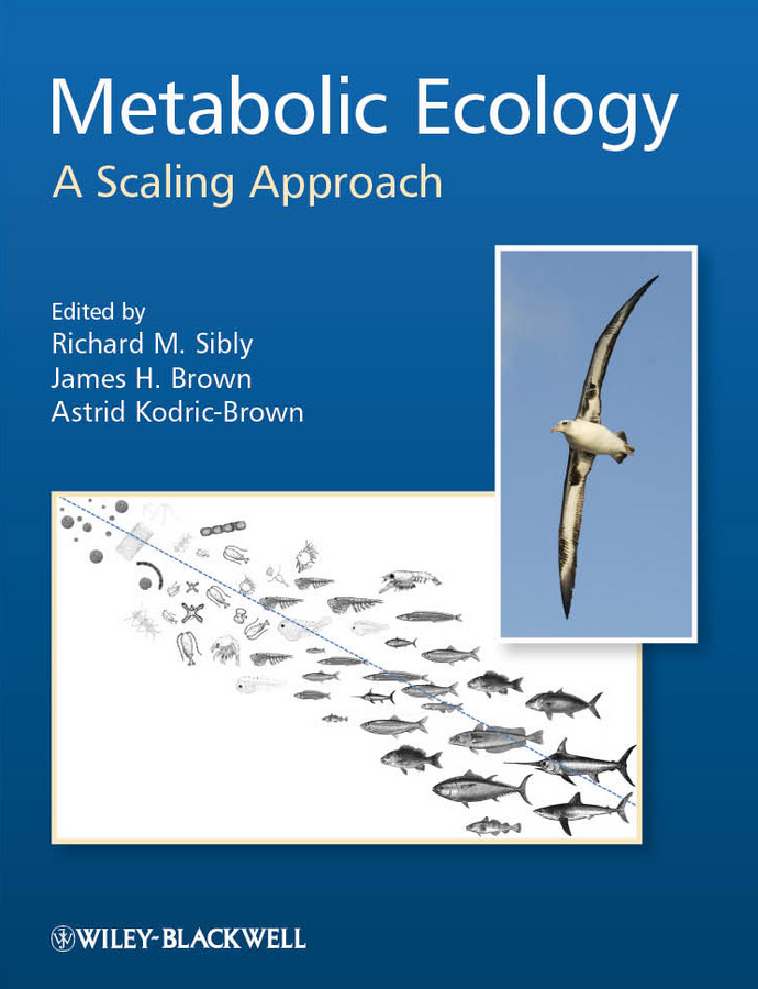 Metabolic ecology: a scaling approach