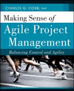 Making sense of agile project management: balancing control and agility