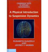 A physical introduction to suspension dynamics