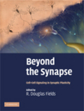 Beyond the synapse: cell-Cell signaling in synaptic plasticity