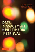 Data management for multimedia retrieval