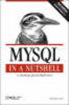 MySQL in a nutshell