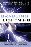 Grabbing lightning: building a capability for breakthrough innovation