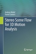 Stereo scene flow for 3D motion analysis