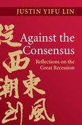 Against the Consensus: Reflections on the Great Recession