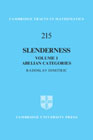 Slenderness: Volume 1, Abelian Categories