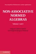 Non-Associative Normed Algebras