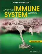 How the Immune System Works