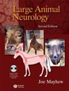 Large animal neurology