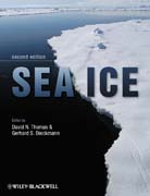 Sea ice