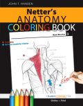 Netter's anatomy coloring book