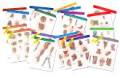 Netter anatomy charts: complete set of 20 charts