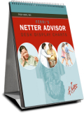 Ferri's Netter advisor desk display charts