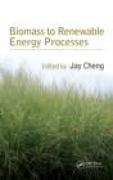 Biomass to renewable energy processes